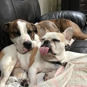 Meet your Posher, April